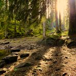 am Butzlisee , Maderanertal