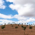 am Camino Francés