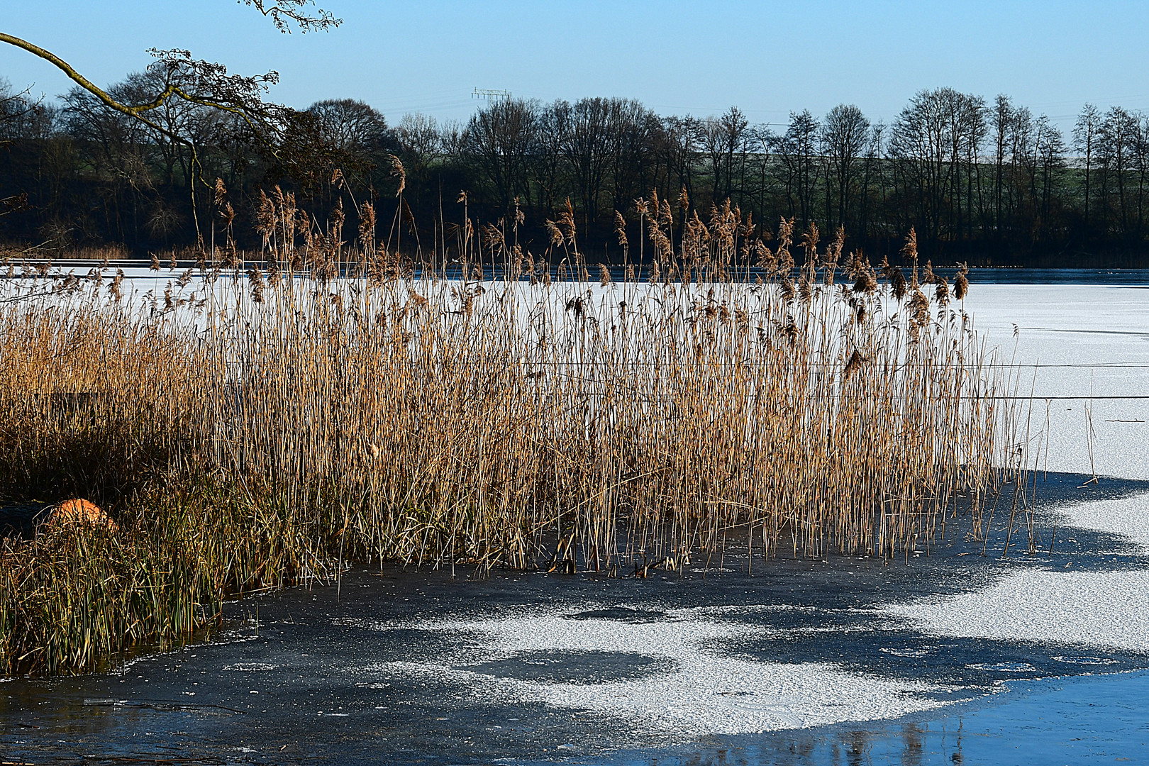 Am Camminer See