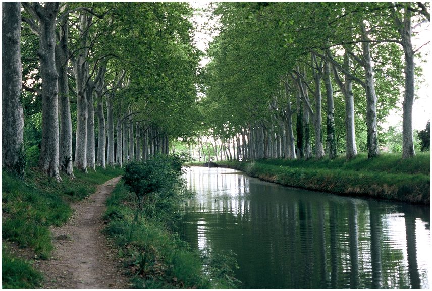 Am Canal du Midi