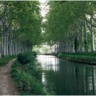 Am Canal du Midi