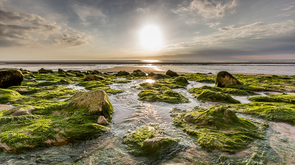 Am Cap Chez Blanc - Normandie