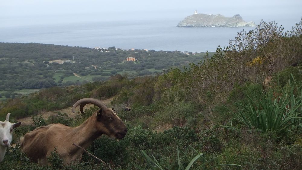 Am Cap Corse (auch in 3D)