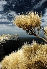 Am Cap de Formentor