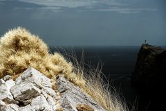 Am Cap de Formentor II