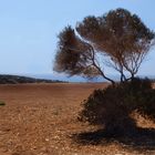 Am Cape Greco