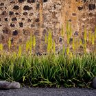 Am Castillo de San Jose