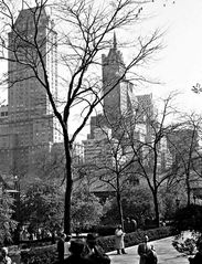 Am Central Park. New York City, 1963