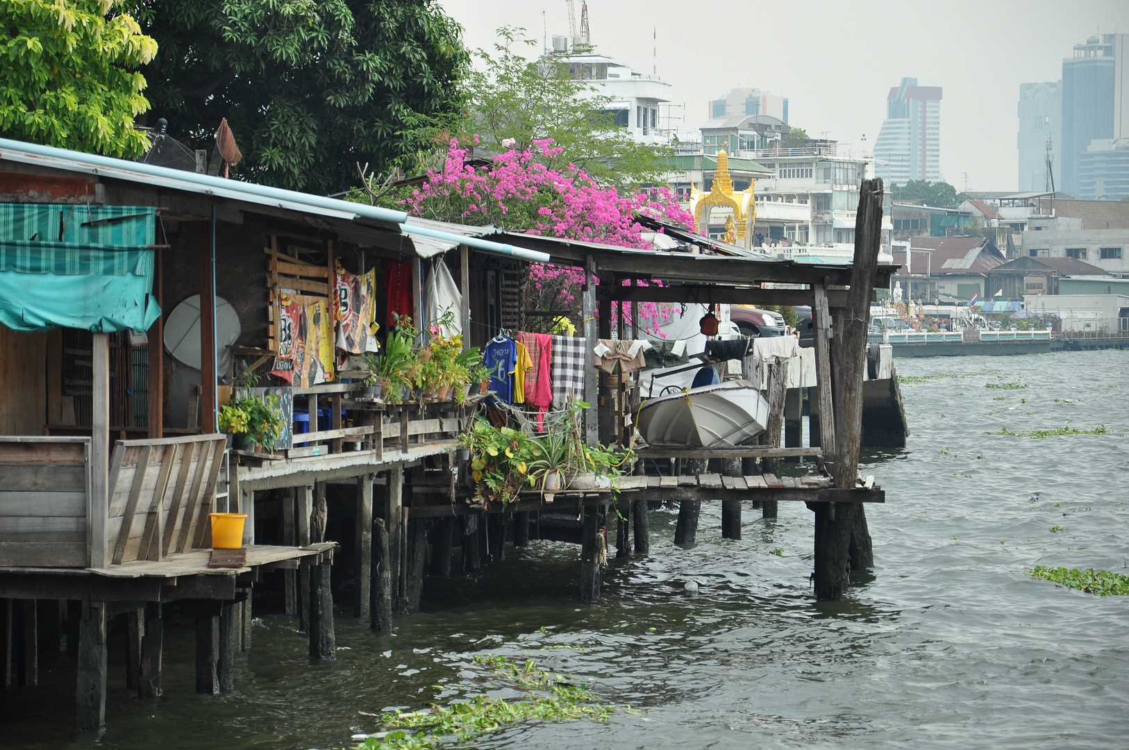 Am Chao Phraya