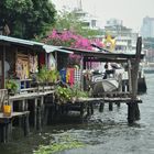 Am Chao Phraya