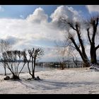 am Chiemsee -2-