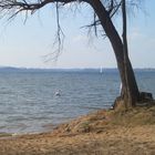 am chiemsee