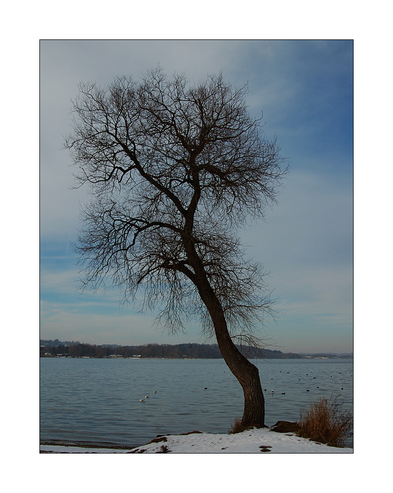 am Chiemsee