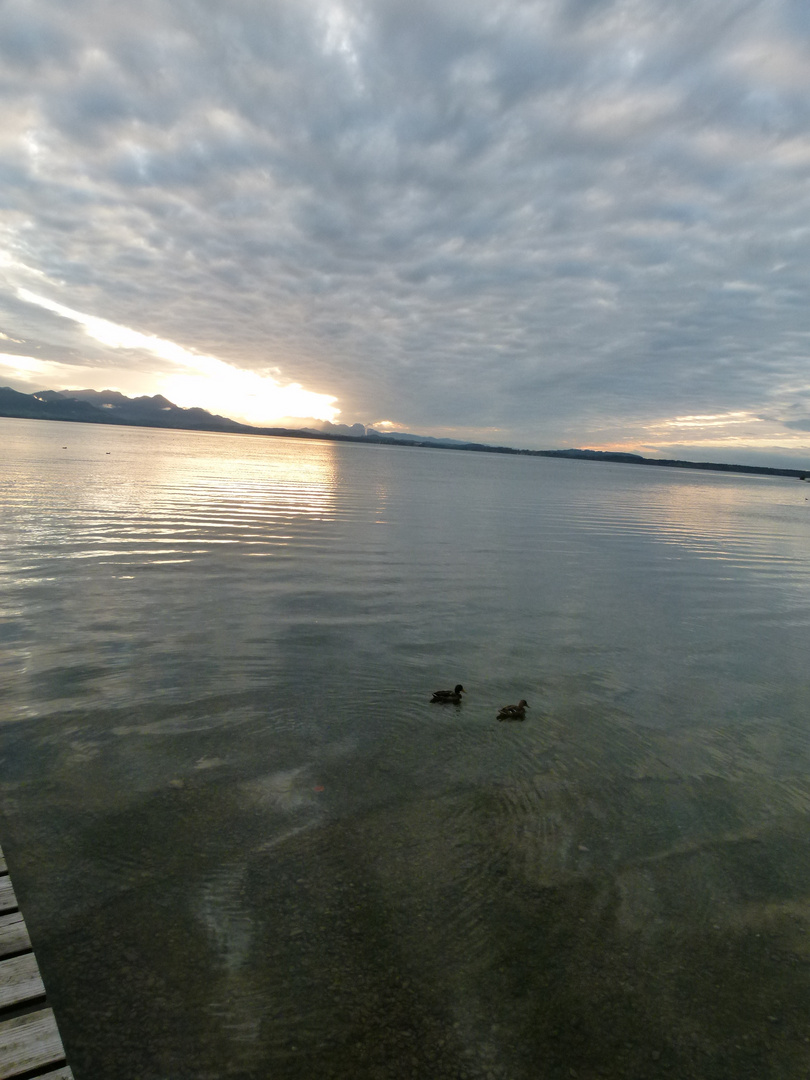 am Chiemsee