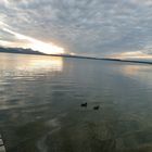 am Chiemsee