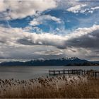 Am Chiemsee bei Gstadt