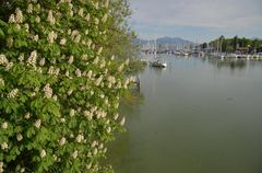 AM CHIEMSEE BEI SEEBRUCK / BAYERN