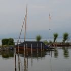 am Chiemsee