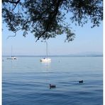 Am Chiemsee