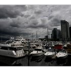 Am Coal Harbour