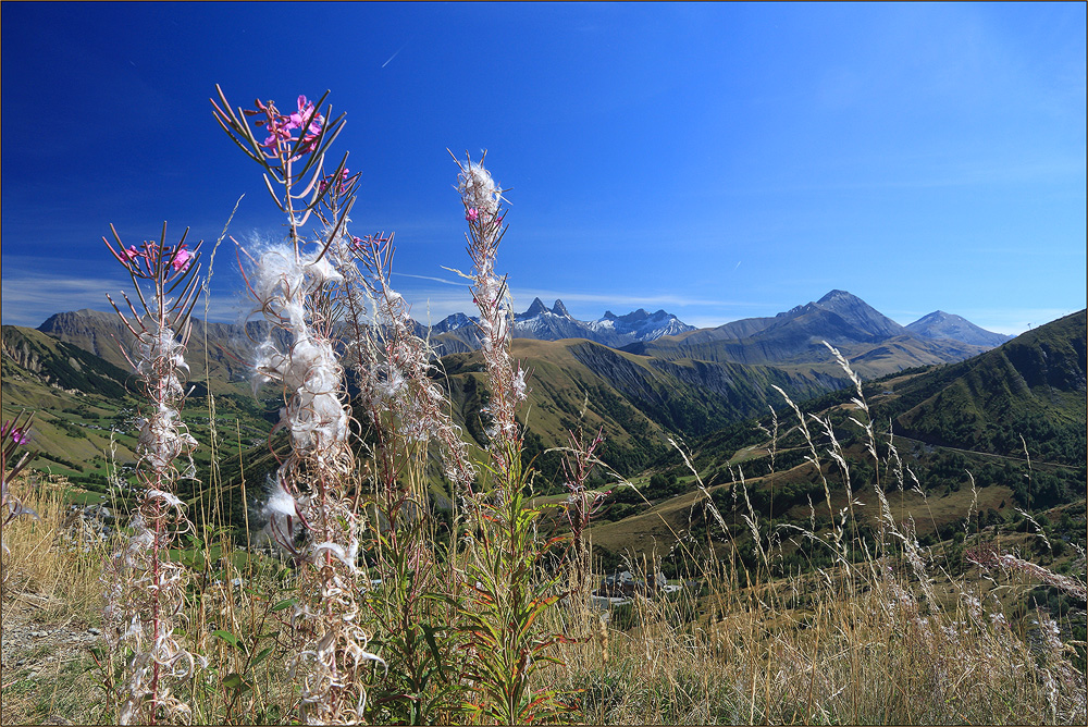 Am Col de la Croix de Fer II