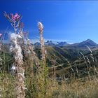 Am Col de la Croix de Fer II