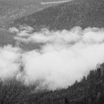 am Col de la Schlucht II