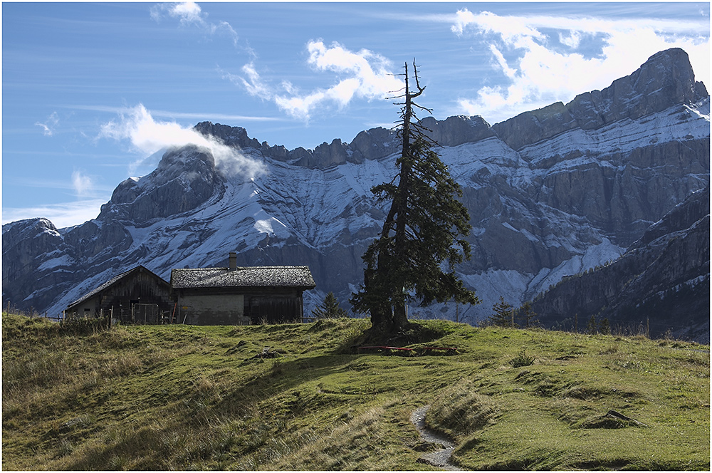 Am Col de Pillon