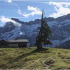 Am Col de Pillon