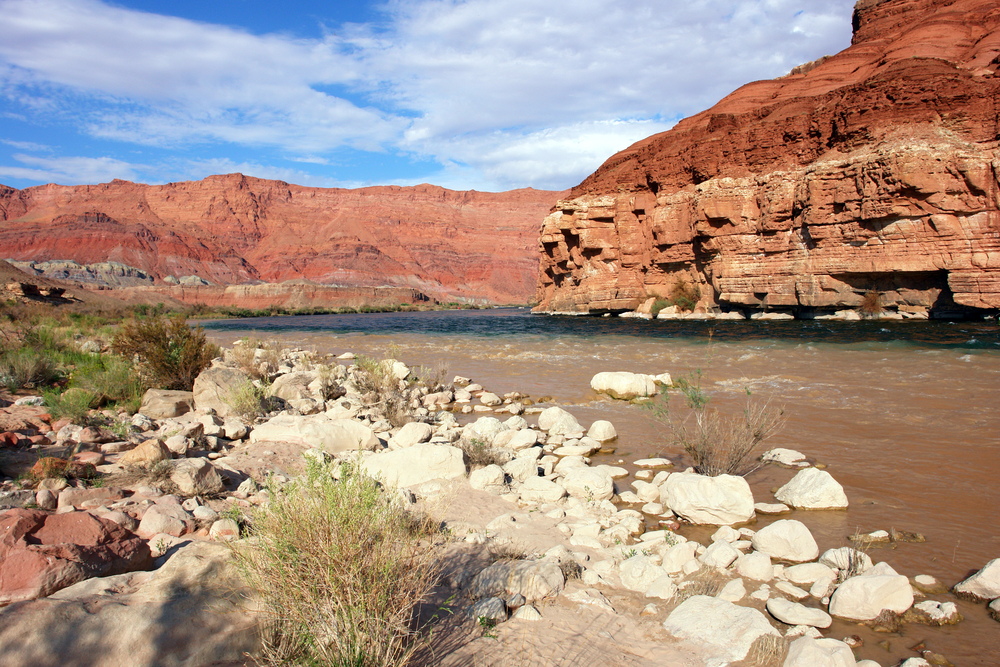 Am Colorado bei Lee`s Ferry