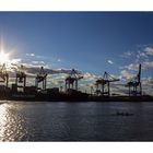 Am Container Terminal Altenwerder