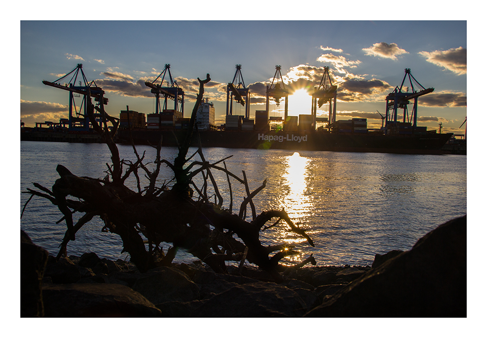 Am Container Terminal Altenwerder...