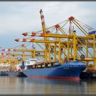 Am Containerterminal im Morgennebel