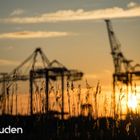 Am Containerterminal in Bremerhaven 