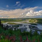 Am Cooper River in Alaska