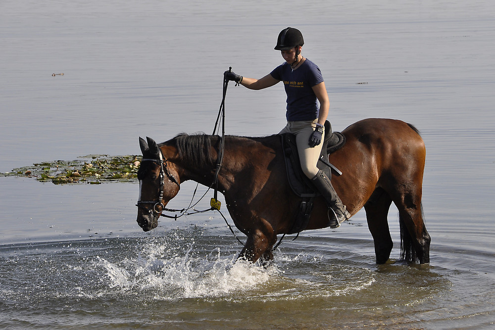 Am Cospudener See