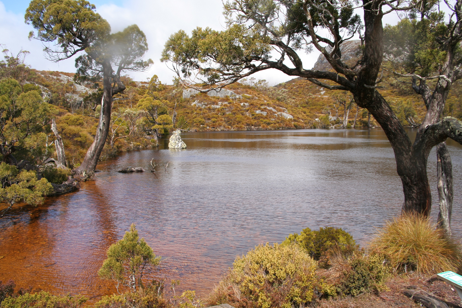 am Cradle Mountain