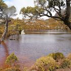 am Cradle Mountain