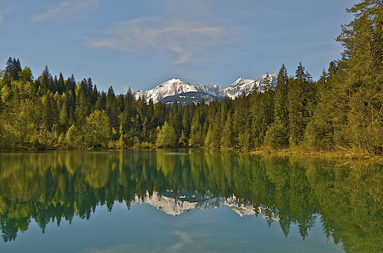 Am Crestasee