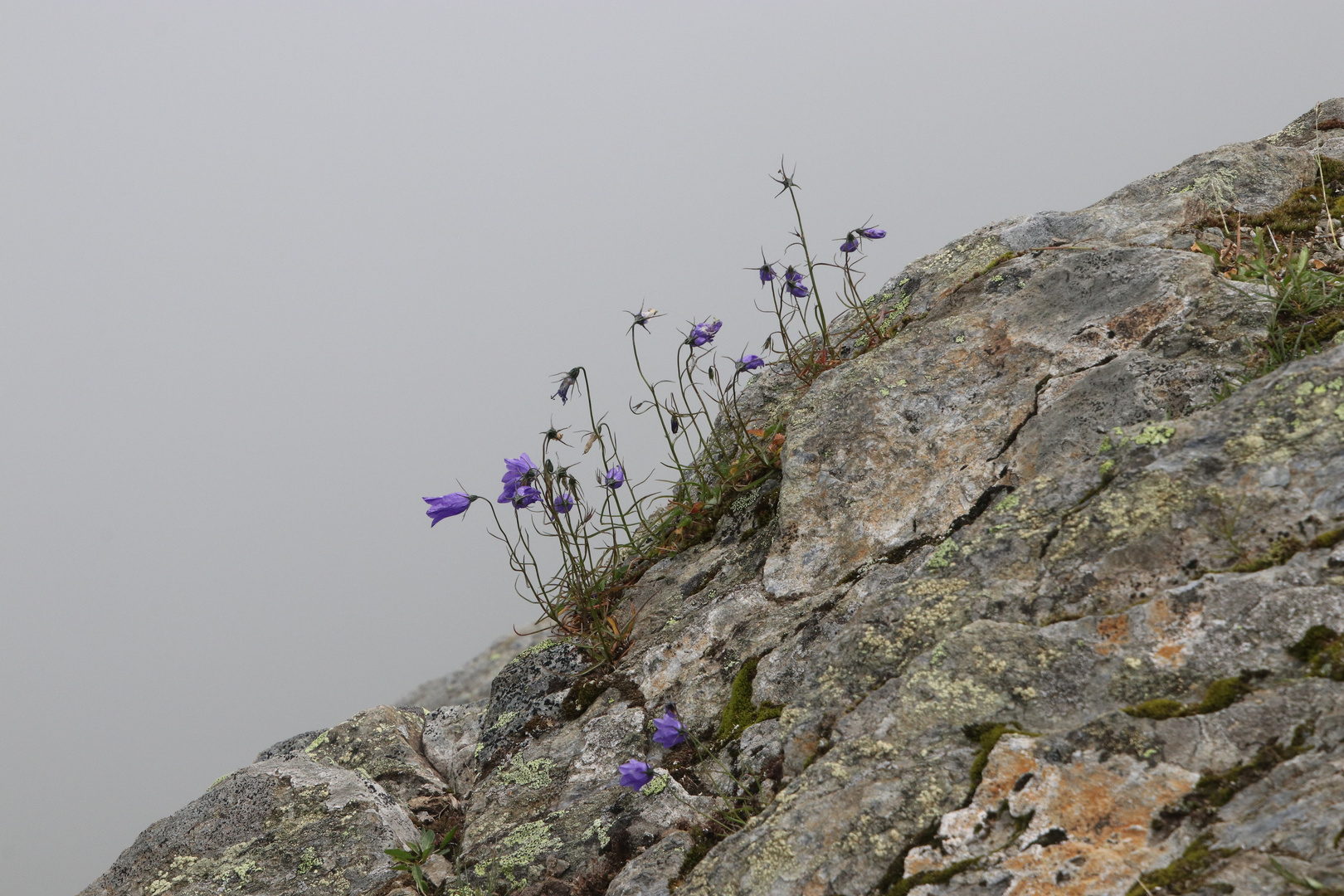 Am Dachstein