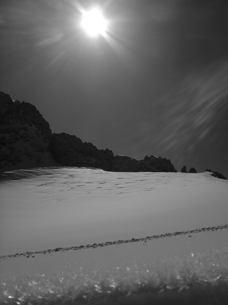 am DaChsTeiN