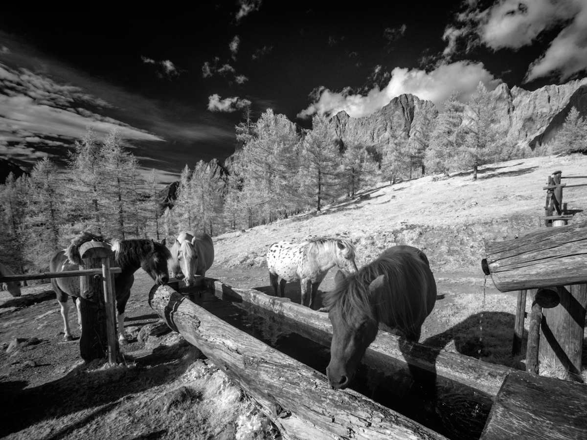 Am Dachstein