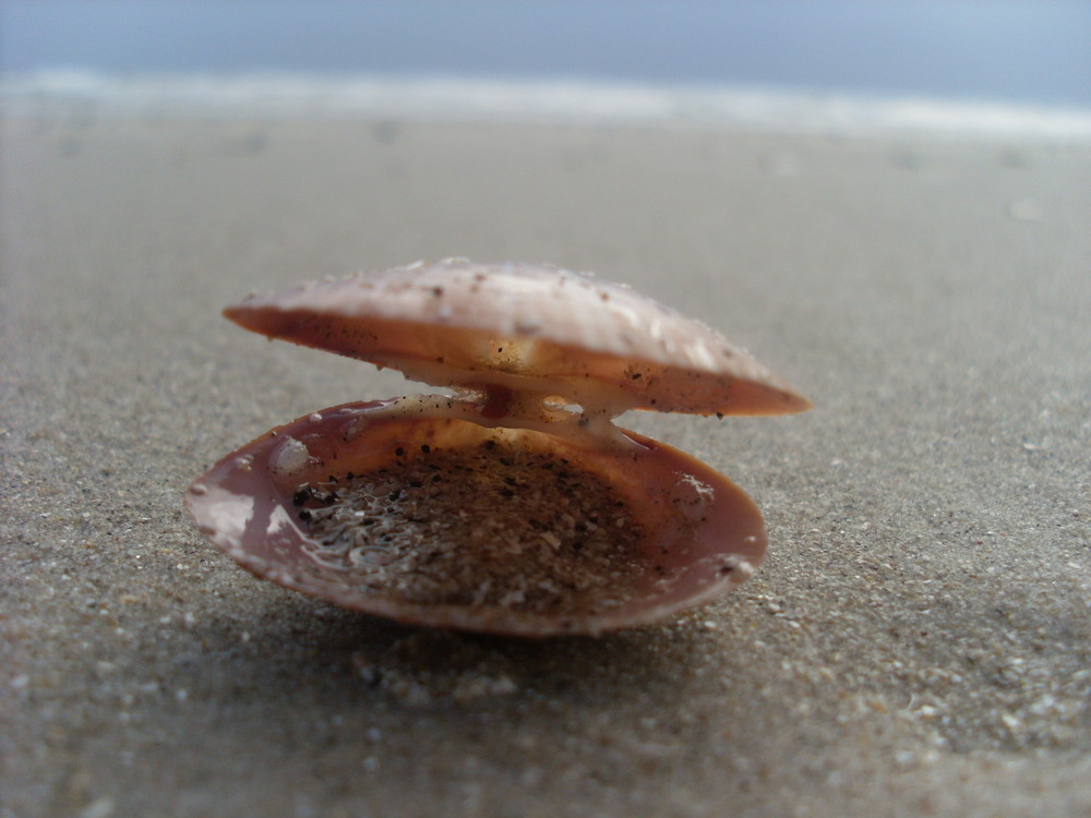 am dänischen Strand