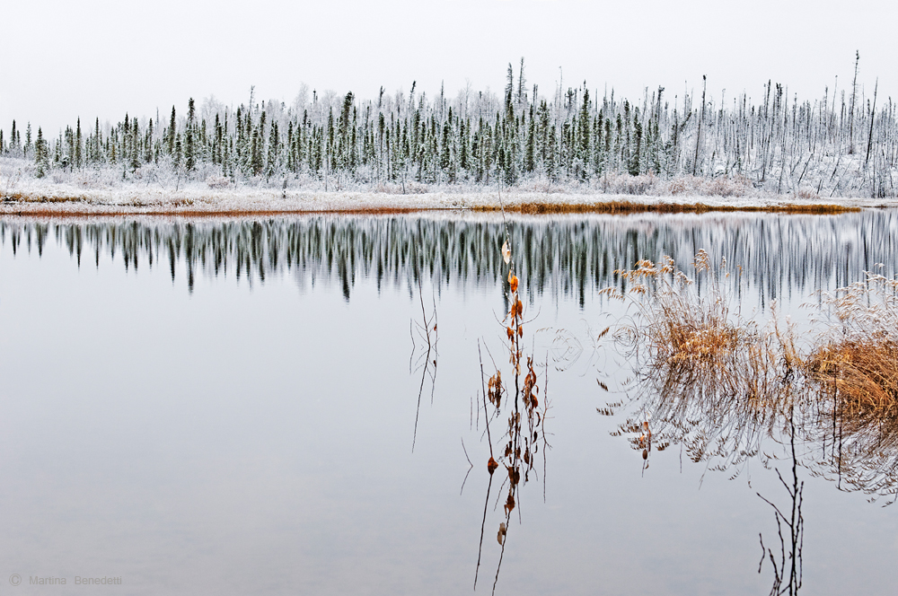 Am Dalton Highway