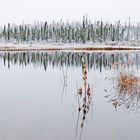 Am Dalton Highway