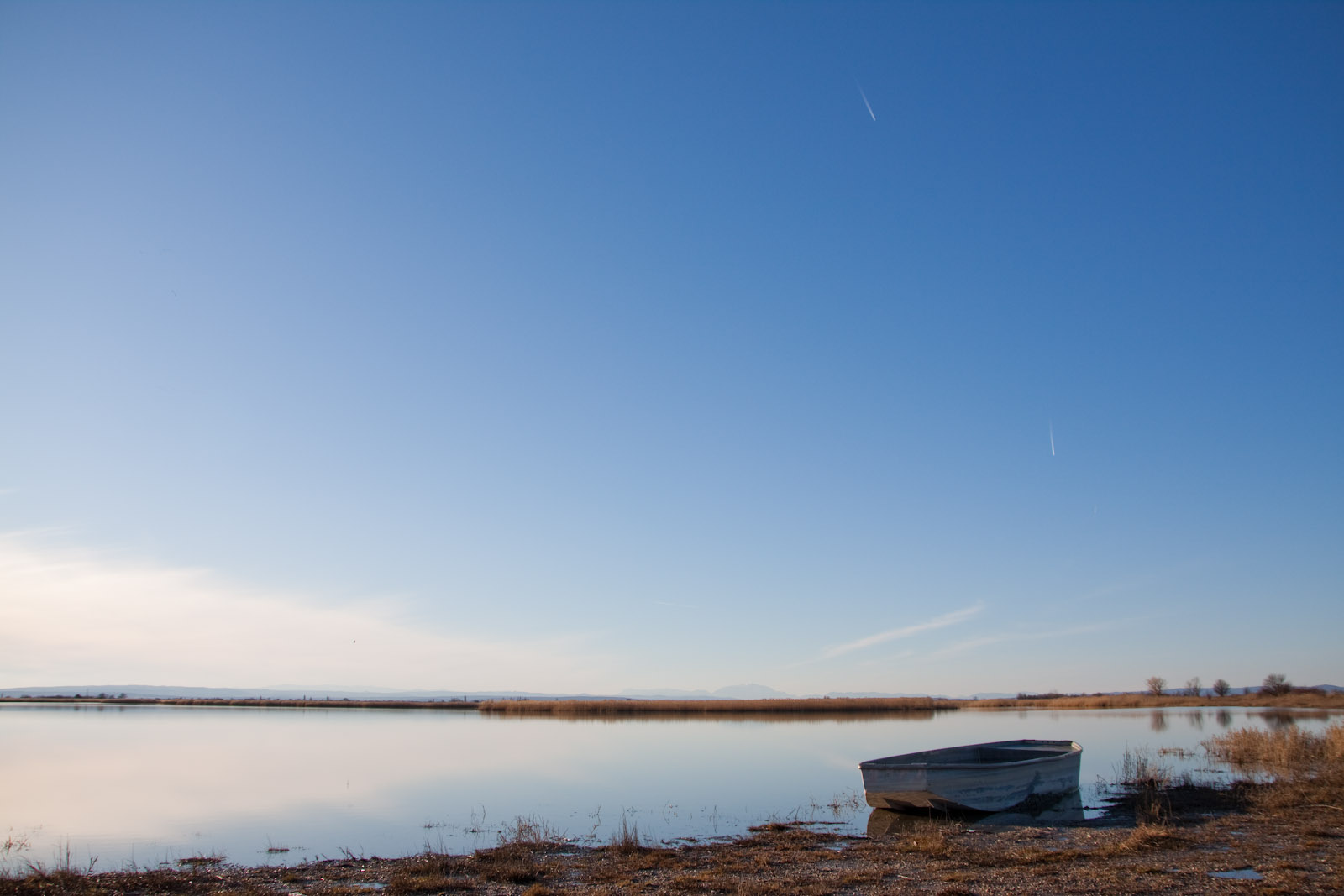 Am Darscho im Seewinkel/Burgenland