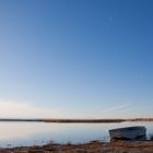 Am Darscho im Seewinkel/Burgenland