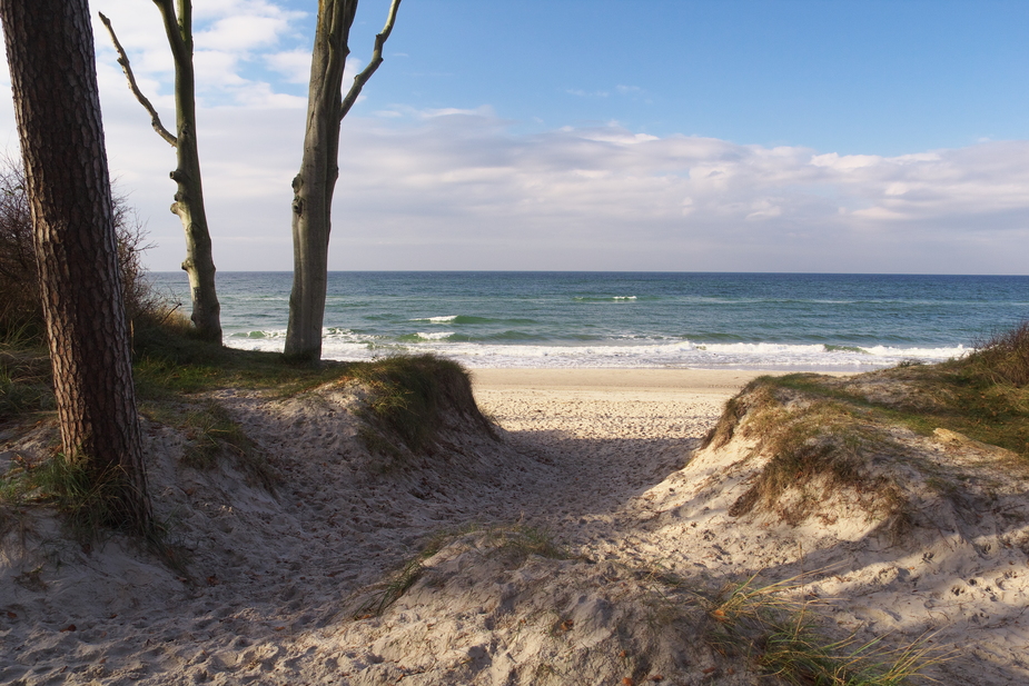 Am Darßer Weststrand