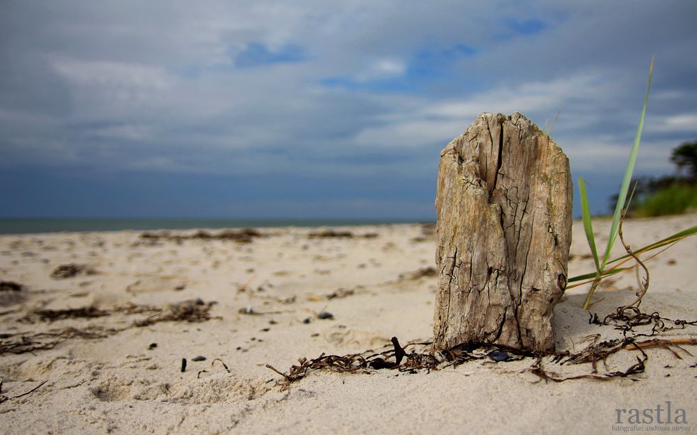 Am Darßer Weststrand