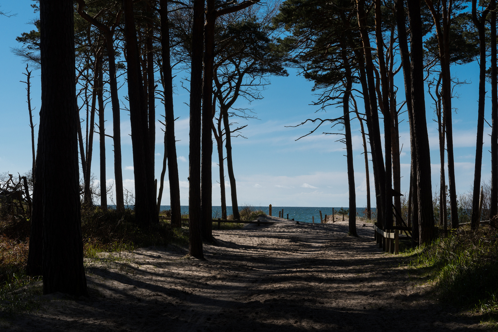 Am Darßer Weststrand